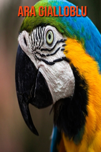 Ara gialloblu