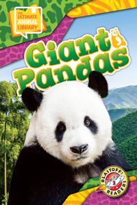 Giant Pandas