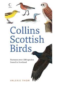 Collins Scottish Birds