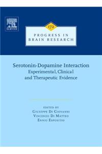 Serotonin-Dopamine Interaction