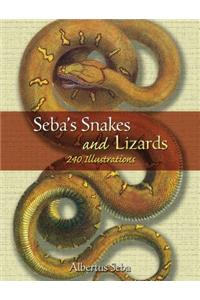 Seba's Snakes and Lizards: 240 Illustrations