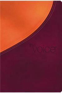 Voice Bible-VC: Step Into the Story of Scripture