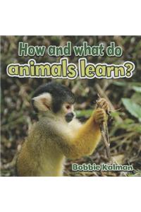 How and What Do Animals Learn