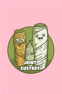 Joint Custody
