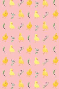 Duck Journal