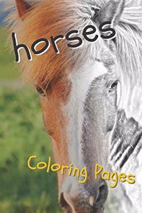 Horses Coloring Sheets