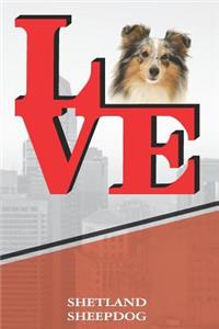 Shetland Sheepdog