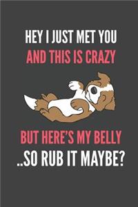 Hey I Just Met You And This Is Crazy But Here's My Belly ..So Rub It Maybe?: Brown Border Collie Funny Quote Gift Lined Notebook Journal 110 Pages