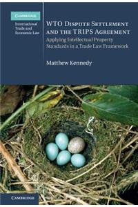 WTO Dispute Settlement and the TRIPS Agreement