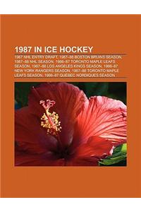 1987 in Ice Hockey