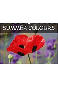 Summer Colours 2017