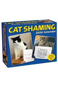 Cat Shaming 2020 Day-To-Day Calendar