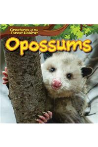 Opossums