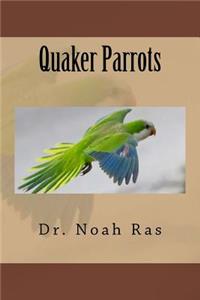 Quaker Parrots