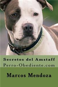 Secretos del Amstaff