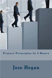 Project Principles In 5 Hours