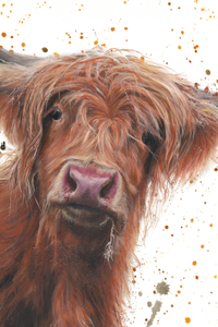 Bree Merryn Highland Cow Lined Notebook