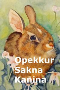 Opekkur Sakna Kanina: Naughty Miss Bunny (Icelandic Ediiton)