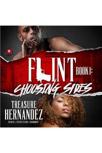 Flint, Book 1