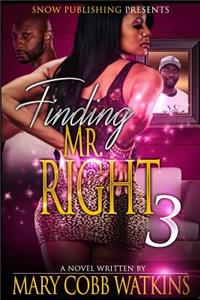 Findind Mr. Right 3