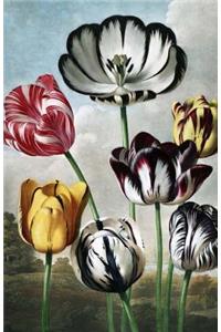 Tulip Wide Rule Journal