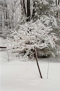 Winter Weather Journal Pretty Tree