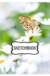 Butterfly Sketchbook