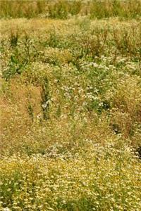 Chamomile English Tea Field Journal