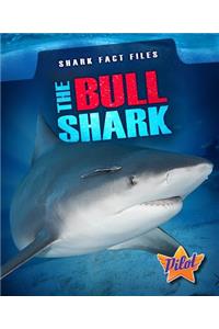 Bull Shark