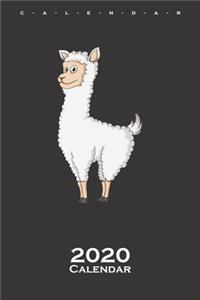 Llama Calendar 2020