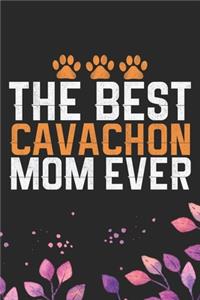 The Best Cavachon Mom Ever