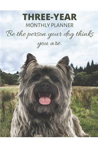 Three Year Monthly Planner Starting 2020 Agenda with Weekly Plan Space - Best Gift For Dog Owner - Funny Cairn Terrier Appointment Book for 2021 & 2022