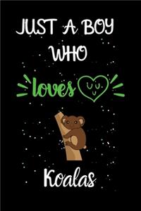 Just A Boy Who Loves Koalas