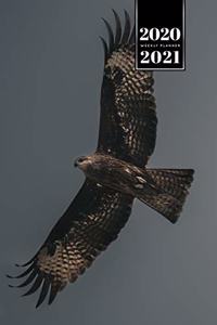 Falcon Hawk Bird Watching Ornithology Week Planner Weekly Organizer Calendar 2020 / 2021 - Wide Wings