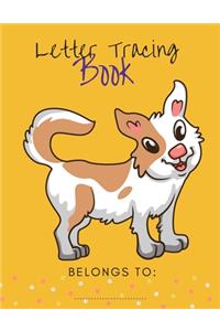 Letter Tracing Book