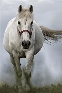 White Horse in the Mist Journal