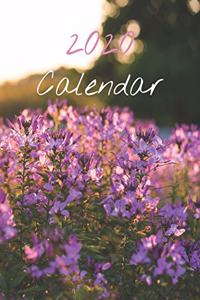 2020 Calendar: Monthly 2020 Calendar Closeups of Nature, Closeup at Sunset Cover