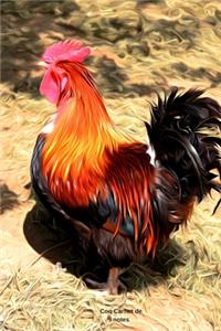 Coq Carnet de notes