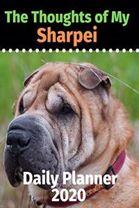 The Thoughts of My Sharpei