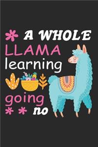 A whole llama learning going on