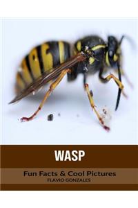 Wasp: Fun Facts & Cool Pictures