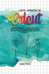 Curso intensivo de Cricut