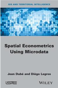 Spatial Econometrics Using Microdata