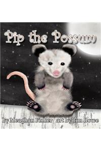 Pip the Possum