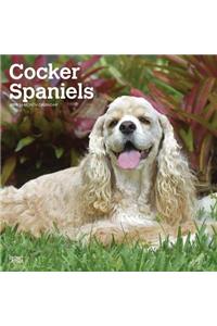 Cocker Spaniels 2019 Square