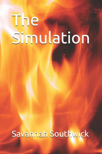 Simulation