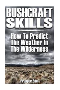 Bushcraft Skills: How to Predict the Weather in the Wilderness: (Bushcraft Survival, Wilderness Survival)