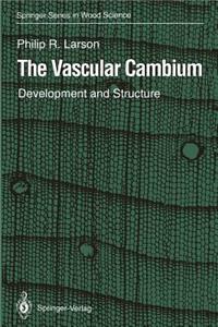 The Vascular Cambium