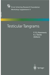 Testicular Tangrams