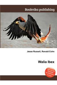 Walia Ibex